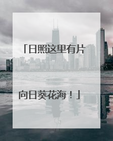 日照这里有片向日葵花海！