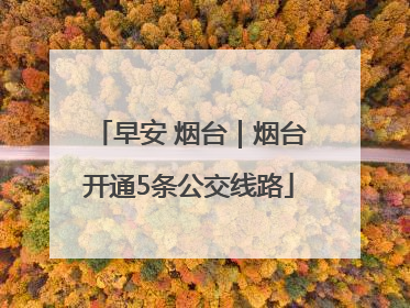早安 烟台｜烟台开通5条公交线路