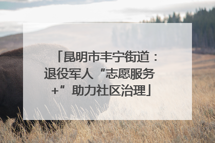 昆明市丰宁街道：退役军人“志愿服务+”助力社区治理