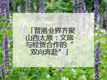 晋港业界齐聚山西太原：文旅与经贸合作的“双向奔赴”