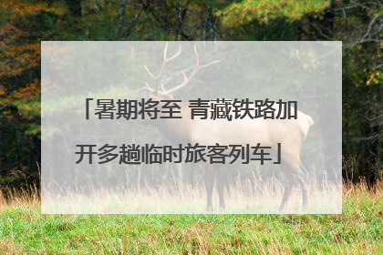 暑期将至 青藏铁路加开多趟临时旅客列车