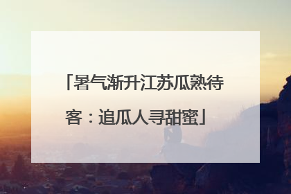 暑气渐升江苏瓜熟待客：追瓜人寻甜蜜