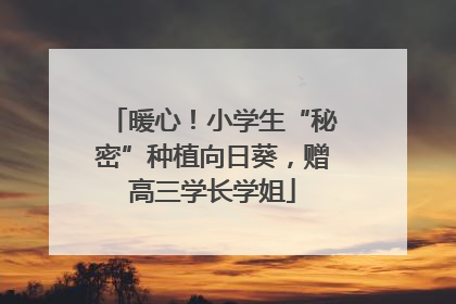 暖心！小学生“秘密”种植向日葵，赠高三学长学姐