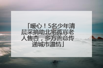 暖心！5名少年清晨采摘助北宅孤寡老人售杏，多方善意传递城市温情