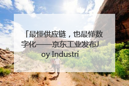 最懂供应链，也最懂数字化——京东工业发布Joy Industrial 重塑工业未来