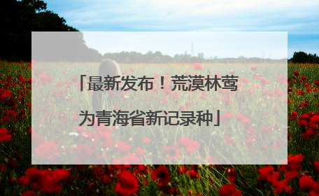 最新发布！荒漠林莺为青海省新记录种