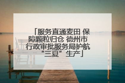 服务直通麦田 保障颗粒归仓 德州市行政审批服务局护航“三夏”生产