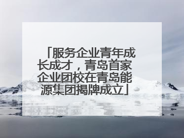 服务企业青年成长成才，青岛首家企业团校在青岛能源集团揭牌成立