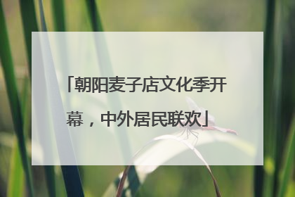 朝阳麦子店文化季开幕，中外居民联欢
