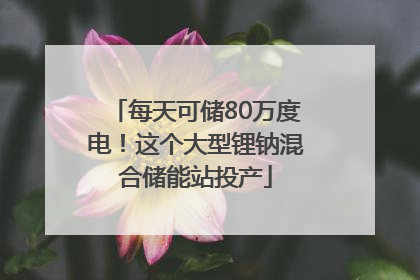 每天可储80万度电！这个大型锂钠混合储能站投产