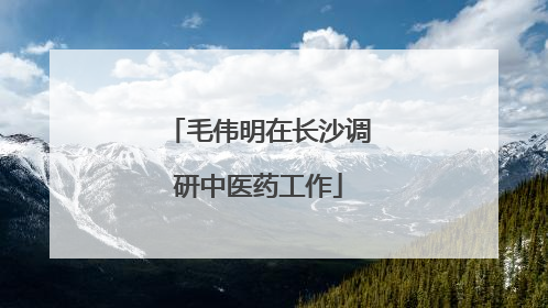 毛伟明在长沙调研中医药工作