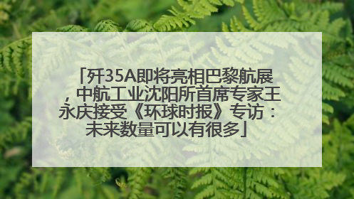 歼35A即将亮相巴黎航展，中航工业沈阳所首席专家王永庆接受《环球时报》专访：未来数量可以有很多