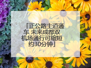 正公路主道通车 未来成都双机场通行可缩短约30分钟