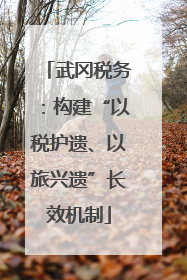 武冈税务：构建“以税护遗、以旅兴遗”长效机制