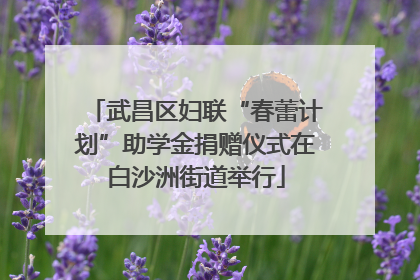 武昌区妇联“春蕾计划”助学金捐赠仪式在白沙洲街道举行