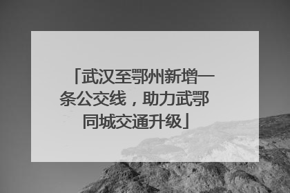 武汉至鄂州新增一条公交线，助力武鄂同城交通升级