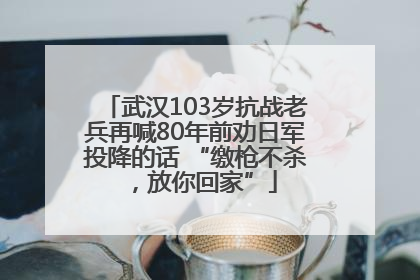 武汉103岁抗战老兵再喊80年前劝日军投降的话 “缴枪不杀，放你回家”