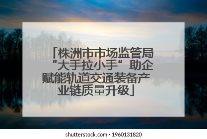 株洲市市场监管局“大手拉小手”助企赋能轨道交通装备产业链质量升级