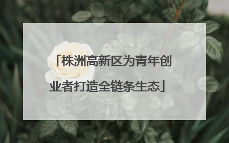 株洲高新区为青年创业者打造全链条生态