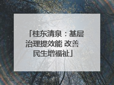 桂东清泉：基层治理提效能 改善民生增福祉