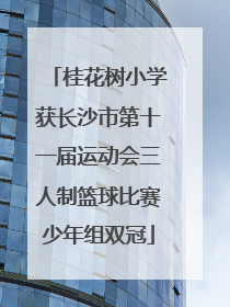 桂花树小学获长沙市第十一届运动会三人制篮球比赛少年组双冠
