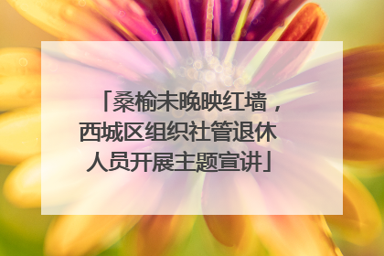 桑榆未晚映红墙，西城区组织社管退休人员开展主题宣讲