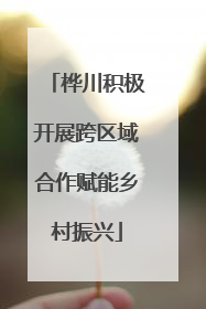 桦川积极开展跨区域合作赋能乡村振兴