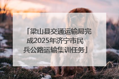 梁山县交通运输局完成2025年济宁市民兵公路运输集训任务