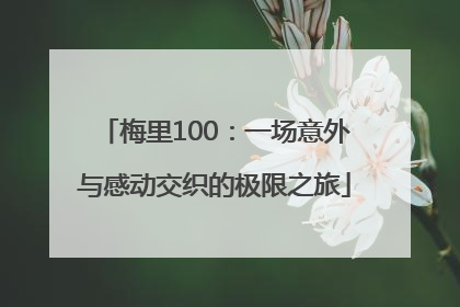 梅里100：一场意外与感动交织的极限之旅
