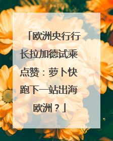 欧洲央行行长拉加德试乘点赞：萝卜快跑下一站出海欧洲？