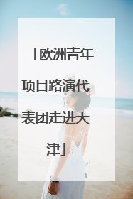 欧洲青年项目路演代表团走进天津