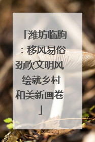 潍坊临朐：移风易俗劲吹文明风 绘就乡村和美新画卷