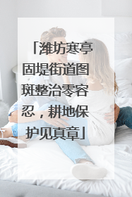 潍坊寒亭固堤街道图斑整治零容忍，耕地保护见真章