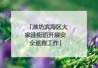 潍坊滨海区大家洼街道开展安全巡查工作