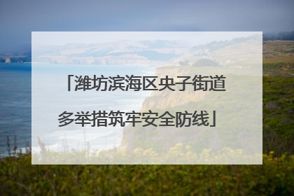潍坊滨海区央子街道多举措筑牢安全防线