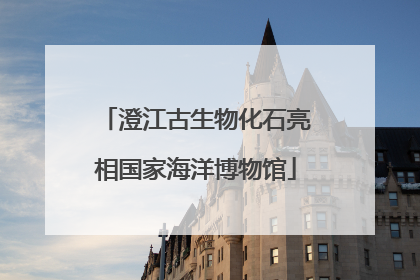 澄江古生物化石亮相国家海洋博物馆