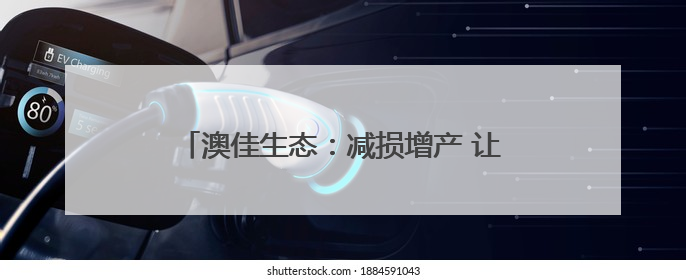 澳佳生态：减损增产 让每一粒麦穗都饱含希望！