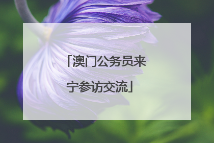 澳门公务员来宁参访交流