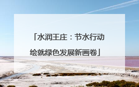 水润王庄：节水行动绘就绿色发展新画卷