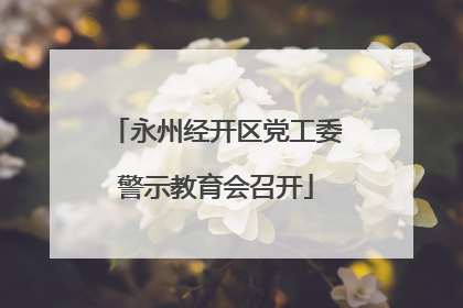 永州经开区党工委警示教育会召开