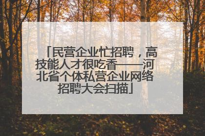 民营企业忙招聘，高技能人才很吃香——河北省个体私营企业网络招聘大会扫描