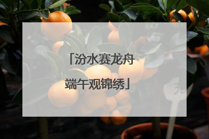 汾水赛龙舟 端午观锦绣