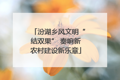 汾湖乡风文明“结双果” 奏响新农村建设新乐章