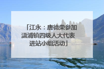 江永：唐德荣参加潇浦镇四级人大代表进站小组活动