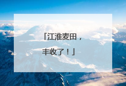 江淮麦田，丰收了！