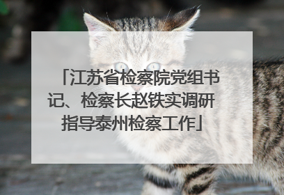 江苏省检察院党组书记、检察长赵铁实调研指导泰州检察工作