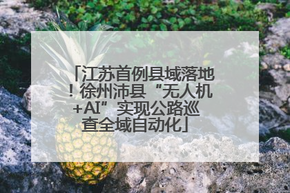 江苏首例县域落地！徐州沛县“无人机+AI”实现公路巡查全域自动化