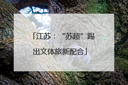 江苏：“苏超”踢出文体旅新配合