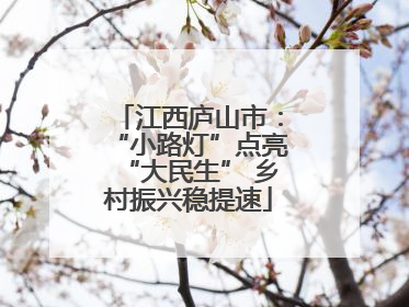 江西庐山市：“小路灯”点亮“大民生” 乡村振兴稳提速