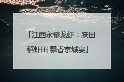 江西永修龙虾：跃出稻虾田 飘香京城宴